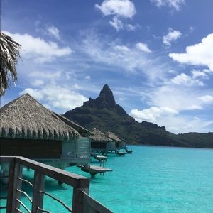 Meet your Posher, Sylvia